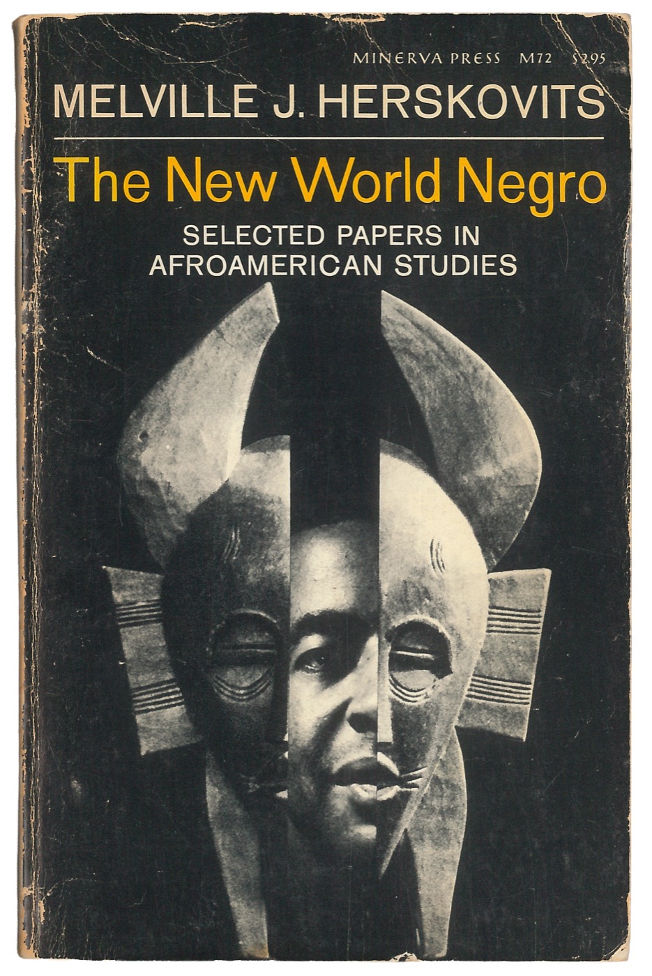 New World Negro book cover