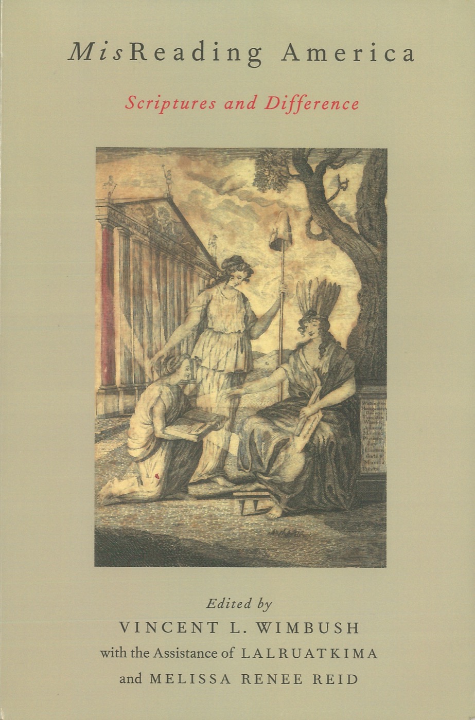 Misreading America book cover